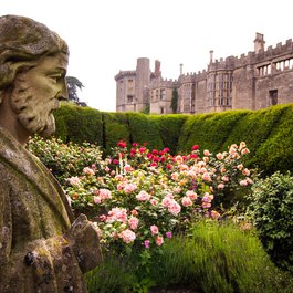 Bristol itinerary, The Bristol Hotel