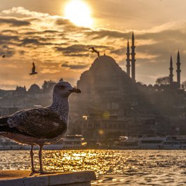 Galata Tower, Istanbul Photo #8 by mucahityildiz from pixabay