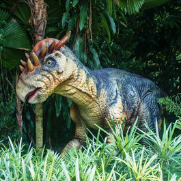 Singapore Zoo, Singapore Photo #4 by tee2tee from pixabay