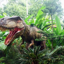 Singapore Zoo, Singapore Photo #1 by tee2tee from pixabay