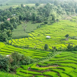 Chiang Mai, Thailand Photo #4 by hereisthailand from pixabay