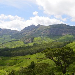 Munnar, Kerala Photo #5 by byjesdxb from pixabay