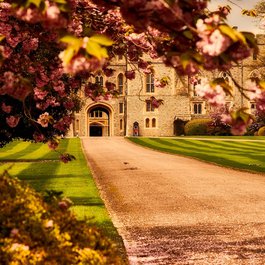 Windsor Castle, England Photo #4 by 12019 from pixabay