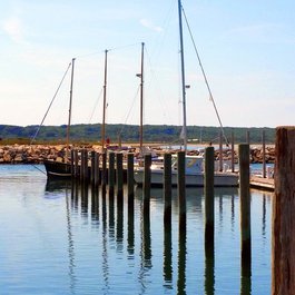 Martha's Vineyard, Massachusetts Photo #7 by D_Theodora from pixabay