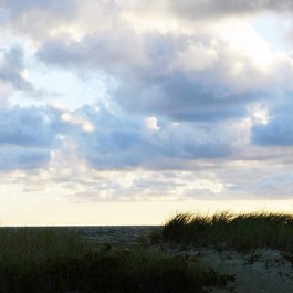 Martha's Vineyard, Massachusetts Photo #8 by D_Theodora from pixabay