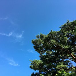 Seoraksan National Park, South Korea Photo #2 by Daebong from pixabay