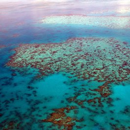 Great Barrier Reef, Australia Photo #2 by steinchen from pixabay