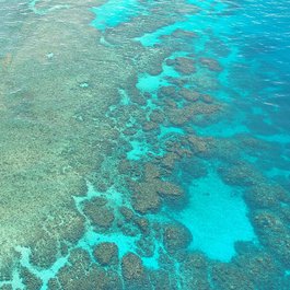 Great Barrier Reef, Australia Photo #7 by steinchen from pixabay
