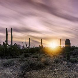 Tucson, Arizona Photo #4 by LGeoffroy from pixabay