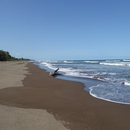 Tortuguero, Costa Rica Photo #2 by MillerGruppe from pixabay