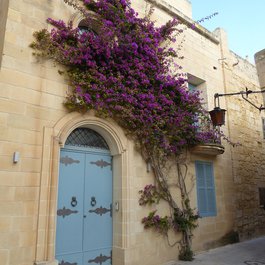 Mdina, Malta Photo #3 by MillerGruppe from pixabay