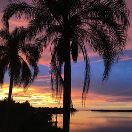 Clearwater Beach, Tampa Photo #1 by graygraphics from pixabay
