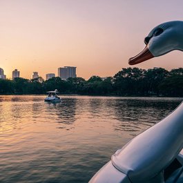 Lumphini Park, Bangkok Photo #3 by igorovsyannykov from pixabay
