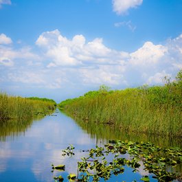 Miami River, Miami Photo #5 by revilo82 from pixabay