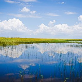 Miami River, Miami Photo #3 by revilo82 from pixabay
