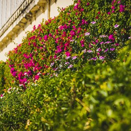 City Palace, Udaipur Photo #9 by suketdedhia from pixabay