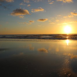 Jacksonville Beach, Jacksonville Photo #3 by veronica_kaupert from pixabay