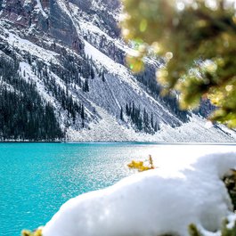 Trail, Canada Photo #9 by Olichel from pixabay