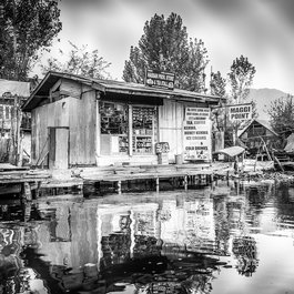 Dal Lake, Srinagar Photo #5 by suketdedhia from pixabay