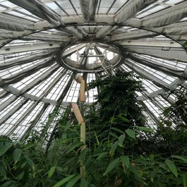 Botanical Garden, Copenhagen Photo #2 by mrmortenthygesen from pixabay