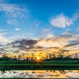 Everglades, Florida Photo #6 by FunkWD from pixabay