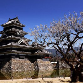 Matsumoto Castle, Nagano Photo #2 by RichardMc from pixabay