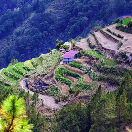 Luzon, Philippines Photo #4 by RichardMc from pixabay