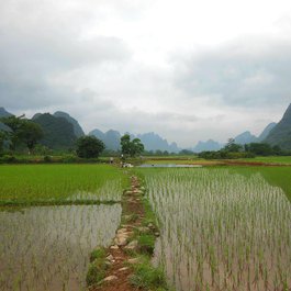 Yunnan, China Photo #9 by 213852 from pixabay