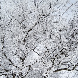 Winter, Wisconsin Photo #5 by jbundgaa from pixabay