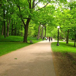 Ottawa itinerary, Rideau Hall