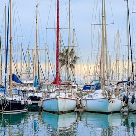 Palma De Mallorca itinerary, Marina Port De Mallorca