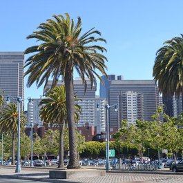 San Francisco, United States Photo #1 by eastpics from pixabay