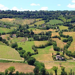 Orvieto, Umbria Photo #2 by hirisflower from pixabay