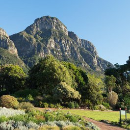 Kirstenbosch National Botanical Garden, Cape Town Photo #6 by jeanvdmeulen from pixabay