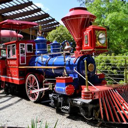 Houston Zoo, Houston Photo #1 by ArtisticOperations from pixabay
