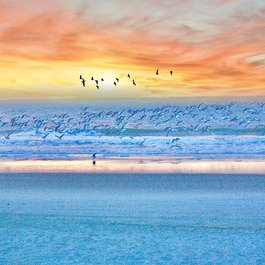 Myrtle Beach, South Carolina Photo #1 by bootsbowsandbeaches from pixabay