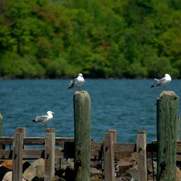 Lake Superior, Wisconsin Photo #3 by MikeGoad from pixabay