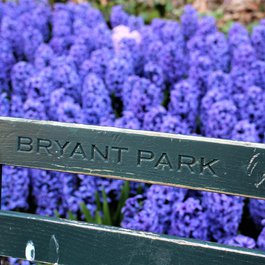 Bryant Park, New York Photo #4 by Chun-San from pixabay