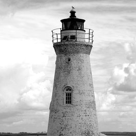 Tybee Island, Georgia Photo #1 by paulbr75 from pixabay