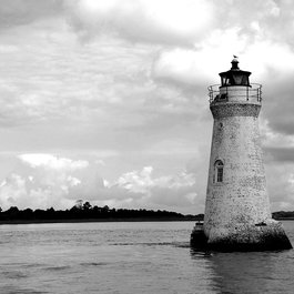 Tybee Island, Georgia Photo #5 by paulbr75 from pixabay
