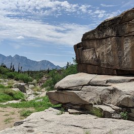 Tucson, Arizona Photo #9 by WeiCoolDesignLC from pixabay