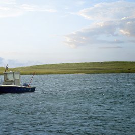 Martha's Vineyard, Massachusetts Photo #5 by D_Theodora from pixabay