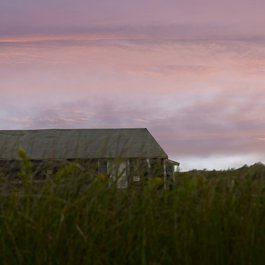 Martha's Vineyard, Massachusetts Photo #6 by D_Theodora from pixabay