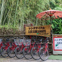 Arashiyama, Kyoto Photo #6 by Michelle_Raponi from pixabay