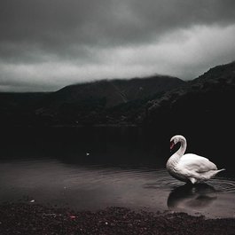 Grasmere, Lake District Photo #2 by catcrawf1990 from pixabay
