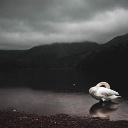 Grasmere, Lake District Photo #7 by catcrawf1990 from pixabay