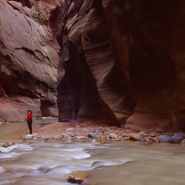 The Narrows, Zion National Park Photo #4 by PDPhotos from pixabay