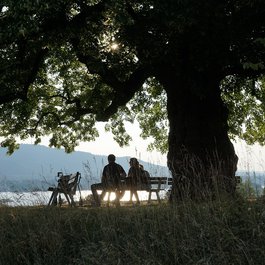 Uetliberg, Zürich Photo #2 by photosforyou from pixabay