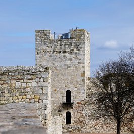 Belgrade Fortress, Belgrade Photo #4 by jennyfriedrichs from pixabay