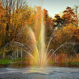 Vondelpark, Amsterdam Photo #2 by MabelAmber from pixabay